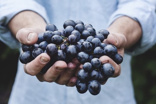 man-holding-grapes